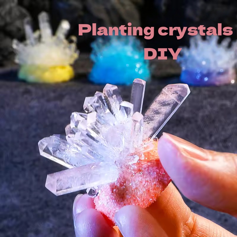 Crystal planting DIY scientifi - Plant Parent Or Plants avaliação e preço