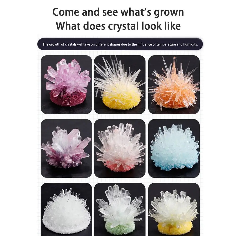 Crystal planting DIY scientifi - Plant Parent Or Plants avaliação e preço