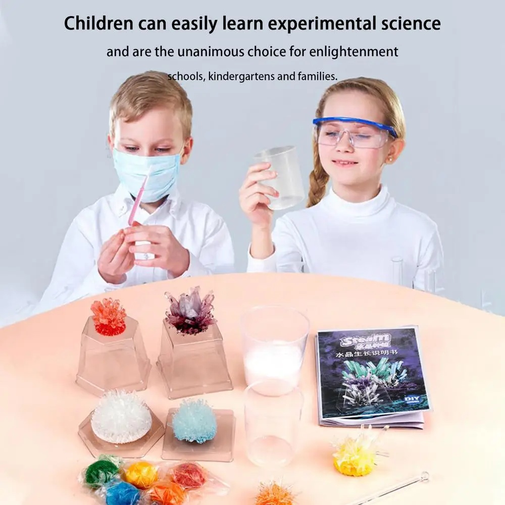 Crystal planting DIY scientifi - Plant Parent Or Plants avaliação e preço