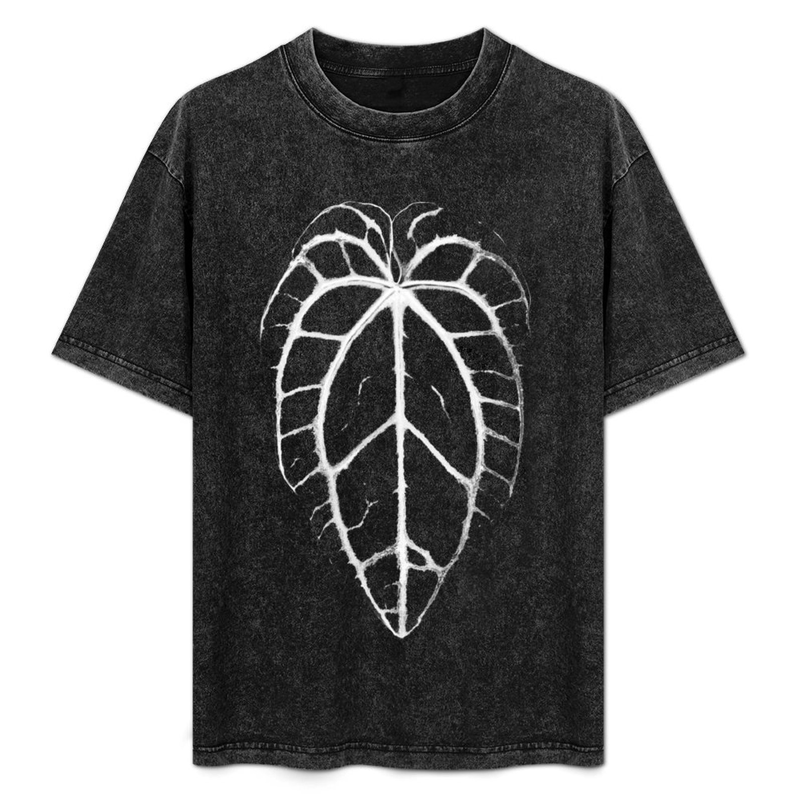 ANTHURIUM CRYSTALLINUM VEINS T - Anthurium Crystallinum avaliação e preço
