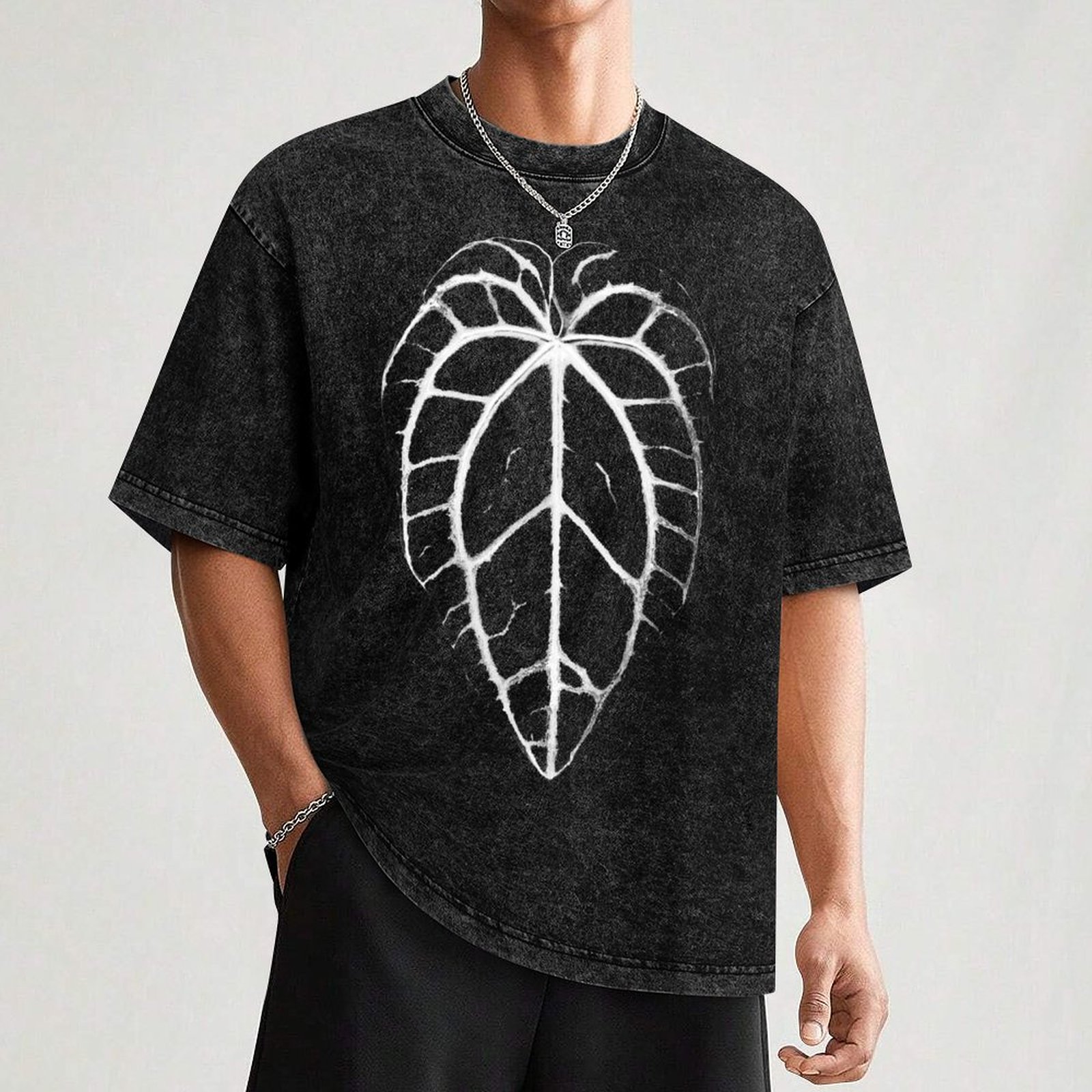 ANTHURIUM CRYSTALLINUM VEINS T - Anthurium Crystallinum avaliação e preço
