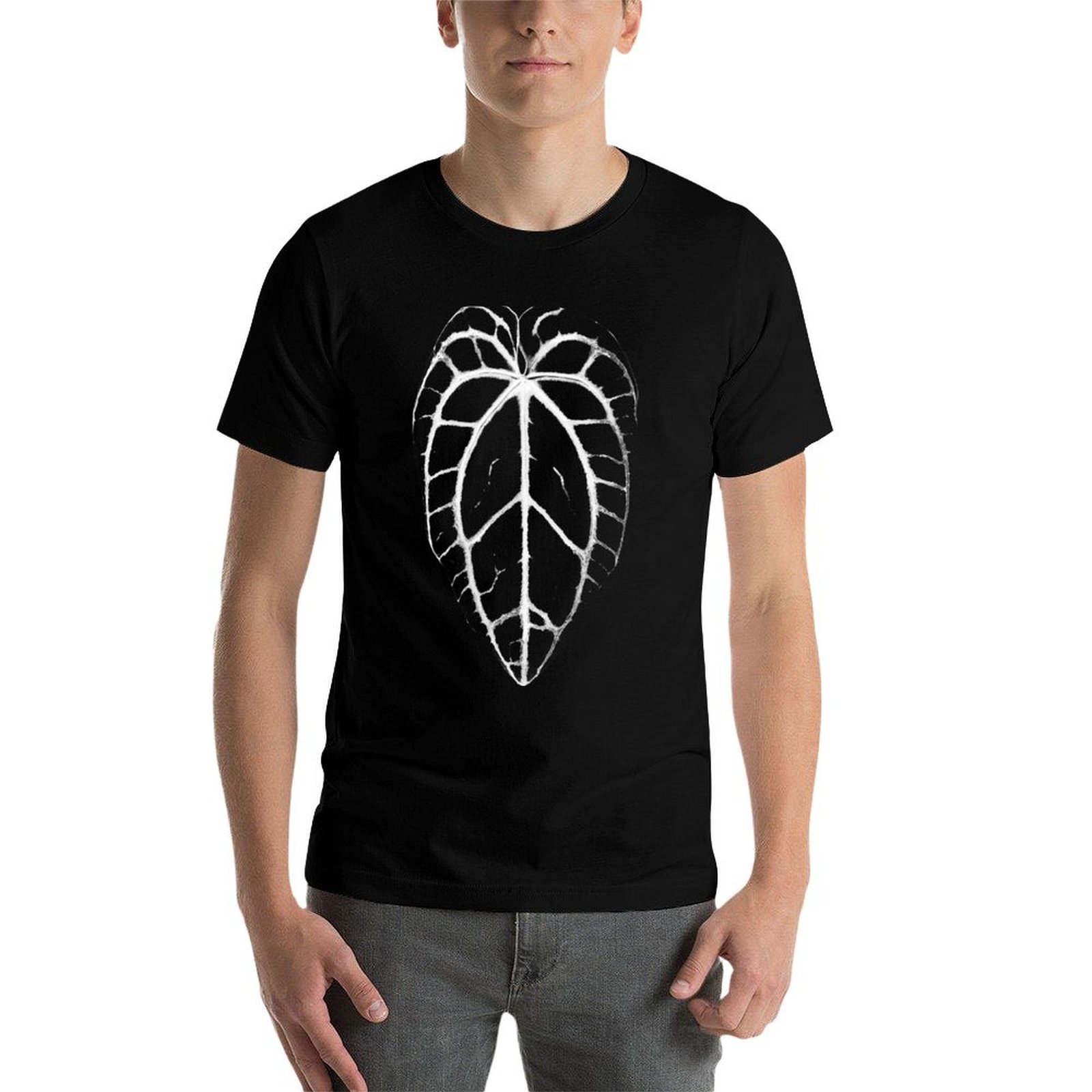 ANTHURIUM CRYSTALLINUM VEINS T - Anthurium Crystallinum avaliação e preço